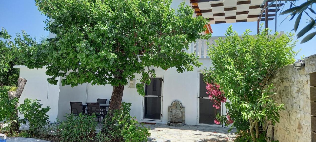 Villa Beloussi Zakynthos Kypseli Exterior foto